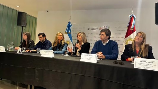 Desde la Legislatura de Córdoba crearon una mesa de trabajo por el avance del juego “on line” en menores