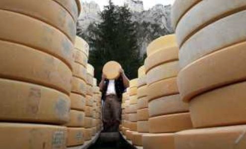 Rematan 680.000 kilos de quesos SanCor: por qué y de cuánto será el precio base