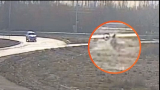 Tragedia en Neuquén: cayó con su moto a una alcantarilla, nadie lo encontró y murió