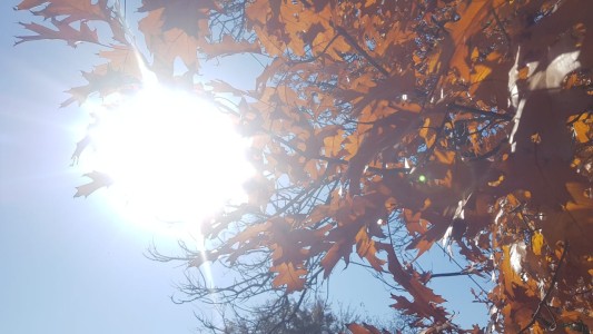 Domingo frío: mínima de 0° ¿Cuál es la máxima para hoy?