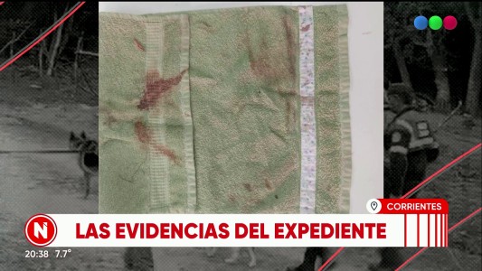 Las evidencias que analiza la Justicia: toalla ensangrentada, pañuelos y un botín de Loan