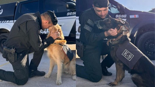 Premio a la trayectoria: Valtro y Tango, se retiran luego de un merecido reconocimiento.