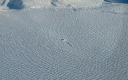 Chubut: desarmaron el avión que aterrizó de emergencia en un lago congelado
