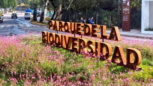 Vacaciones de invierno: actividades para toda la familia en la Feria de Economía Circular