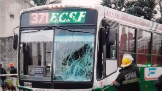 La atropelló un colectivo y murió tras agonizar 20 días: "No se hicieron cargo desde la empresa ni el chofer"