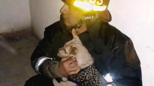 Bomberos rescataron a un perro de un incendio en barrio Ayacucho