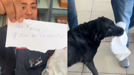 Video: Otto, el perro cordobés que hace delivery