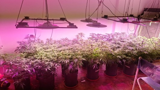 Villa Allende: hay 13 detenidos tras una serie de allanamientos