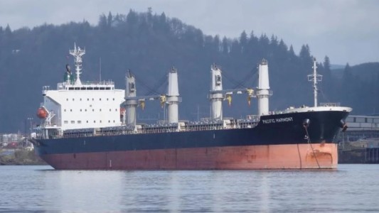 Aislaron a un buque en el Río Paraná por un posible caso de viruela del mono en la tripulación