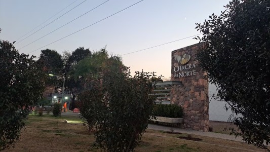 Córdoba: un perro pitbull atacó a un guardia de seguridad durante un robo