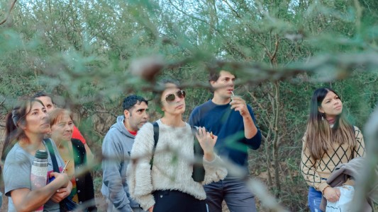 Semana del Árbol: webinars, forestaciones y festejo en el Jardín Botánico