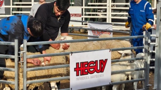 Dos escuelas cordobesas alcanzaron el podio en un certamen sobre producción ovina