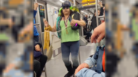 Video: una mujer subió a un loro al subte y lo hizo trabajar como "vendedor ambulante"