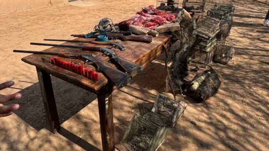 Encontraron aves, pieles de animales y armas en un campo cordobés