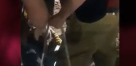 Video: Una perra cayó 4 metros por un sumidero y su dueña le salvó la vida