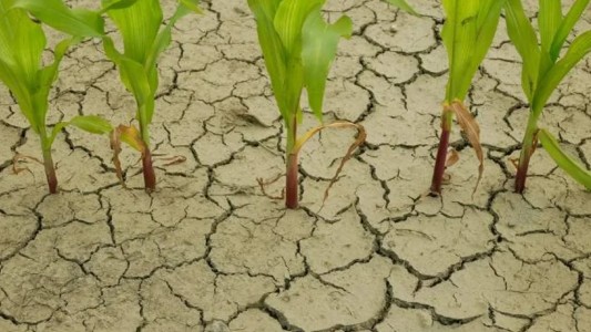La Niña está por llegar a la Argentina: se esperan fuertes sequías y un clima fuera de lo normal