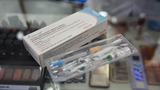 Aumentó la demanda de la vacuna contra el dengue, pero las farmacias están con poco stock