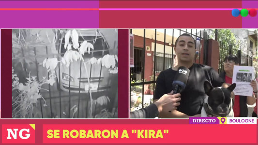 Video: se treparon a la reja y les robaron a su perra