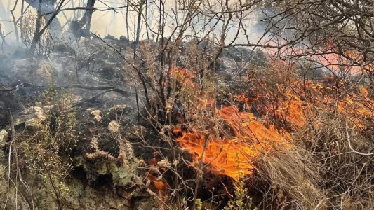 Actualización: cómo continúan los incendios en la provincia