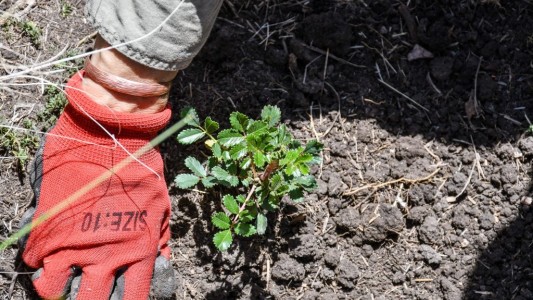 Córdoba: el Ministerio de Ambiente presentó el protocolo de acciones para la Restauración Ambiental posfuego