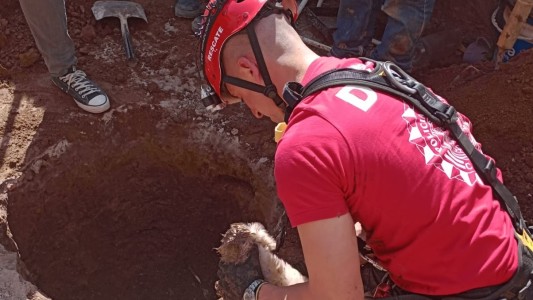 Bomberos rescataron a un perro que cayó en un pozo