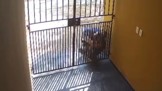 Un delincuente asaltó a una mujer y le arrancó un pedazo de oreja en barrio Observatorio