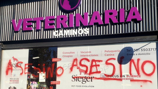 Un veterinario se quitó la vida en Córdoba: el Covet lo adjudicó al hostigamiento que recibió por el caso de “Negrita”