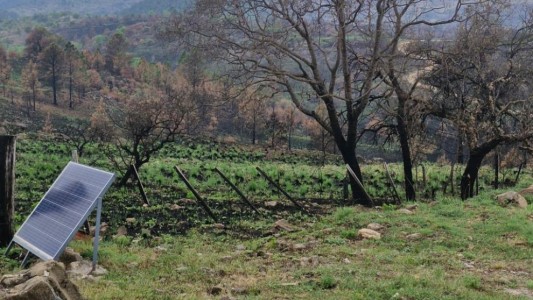 Las localidades afectadas por los incendios avanzan para construir Centros Comerciales a Cielo abierto