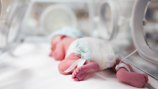 Conmoción en Francia por el secuestro de un bebé de 17 días de una maternidad: sospechan de sus padres