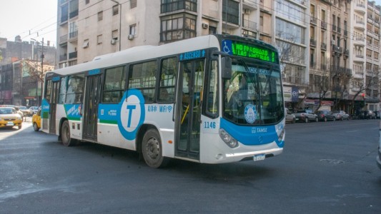Por ataques vandálicos, Tamse cambia la circulación de dos líneas de colectivos: los nuevos recorridos