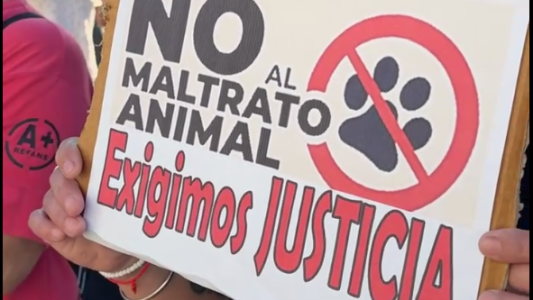 Horror en Laboulaye: brutal asesinato de un perro desata indignación y protestas