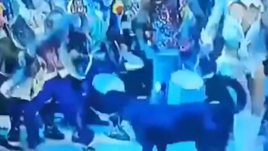 Carnaval de Gualaguaychú: integrante de una comparsa le pegó a un perro que se metió en el corsódromo