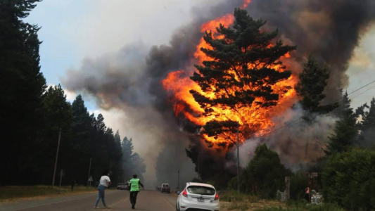 Confirmaron que el incendio en Epuyén fue intencional: destruyó más de 3000 hectáreas de bosque nativo