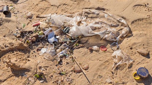 Más del 70% de los residuos en la costa bonaerense son plásticos, según reciente censo