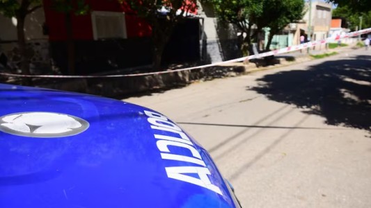 Balearon y mataron a un perro en la vía pública