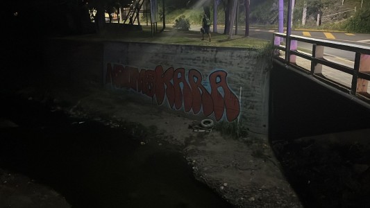 Saldán: dos adolescentes detenidos por realizar pintadas en el Puente Ceballos