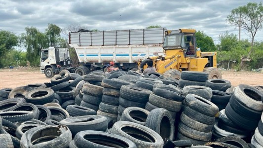 Retiran más de 1.000 toneladas de neumáticos en desuso para prevenir el dengue y fomentar la economía circular