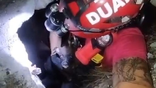 Video: bomberos rescataron a un perro que cayó a un pozo de 10 metros