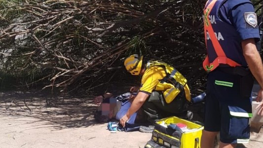 Un árbol cayó sobre un hombre en barrio General Paz