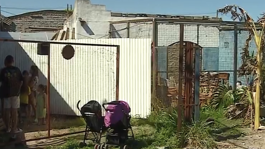 Cansados de los robos: cerrarán un vivero familiar