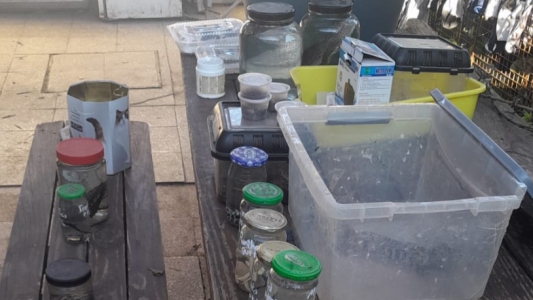 La policía allanó un comercio de fauna exótica ilegal en córdoba