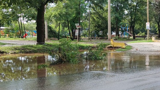 Temporal en el departamento Santa María: intensas lluvias, caída de árboles y destrozos en Anisacate