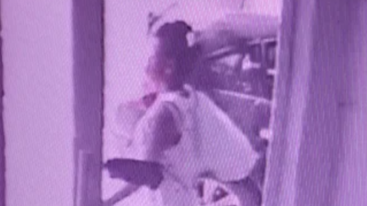 Detuvieron a la mujer que arrojó a su bebé en un contenedor