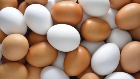 Incremento en el precio de los huevos genera preocupación