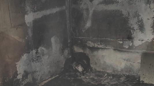 Córdoba: bomberos rescataron a un caniche de un incendio