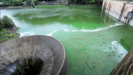 La Justicia ordenó un plan de saneamiento urgente para el Lago San Roque