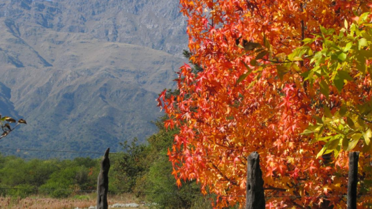 Inestabilidad climática en Córdoba durante el fin de semana