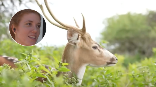 Celebrar a todos los animales: una visita especial al Parque de la Biodiversidad