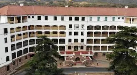 Estancia vieja: un ladrón entró a robar, lo atacó un pitbull y terminó hospitalizado