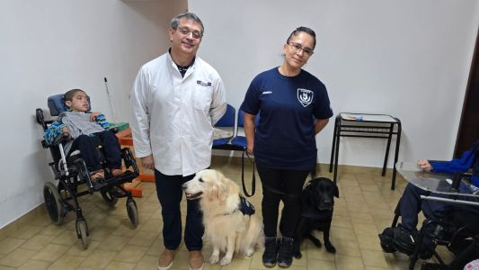 Más que mascotas: perros de terapia que transforman vidas